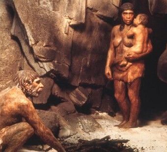 İçimizdeki neandertal ve COVID-19